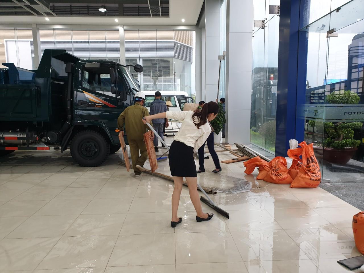 Tải, bus Thanh Hóa chủ động ứng phó với áp thấp nhiệt đới